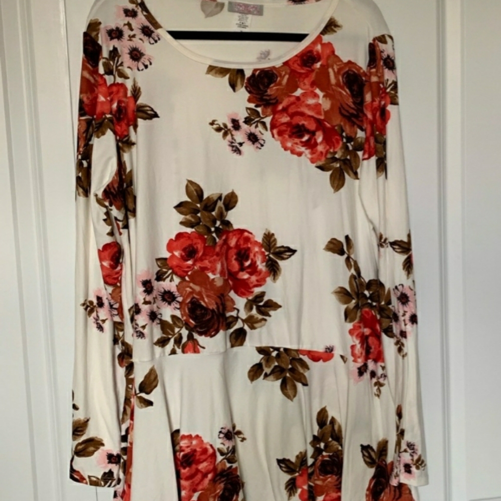 Pretty Young Thing Floral Peplum Top Size 3X